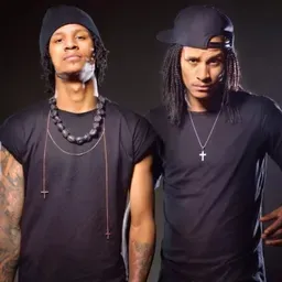 Les Twins Library 2