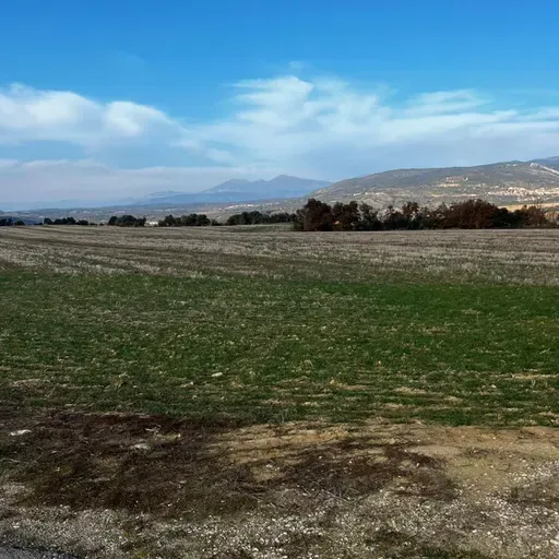 Episodio 50 - UTMB definitivo