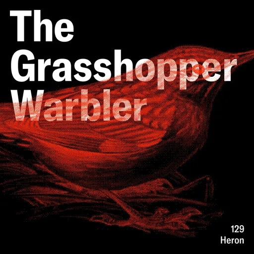 THE GRASSHOPPER WARBLE 2025-05-29 17:00