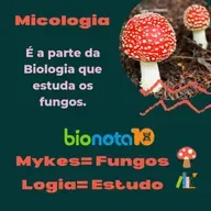 Fungos