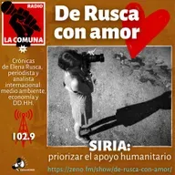 8.-DE RUSCA CON AMOR-SÍRIA :  expertos de la ONU instan al Consejo de Seguridad a priorizar el apoyo humanitario