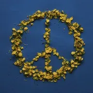 S2 Ep6: Give Me Comfort and Peace Deep Sleep Hypnosis