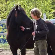 275 - Hestenes klan Norge Rundt - Buskerud
