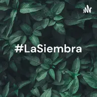 La Siembra: La tarea de declarar impuestos