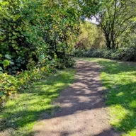 #96: Raking leaves, A dog and a ball