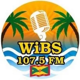 WIBS107