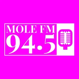 Mole FM book club