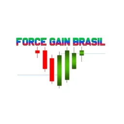 Entrevista com Mauro da Force Gain Brasil