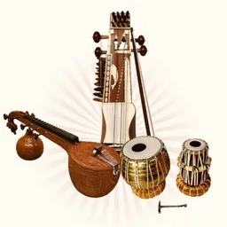 VEENA INSTRUMENTAL