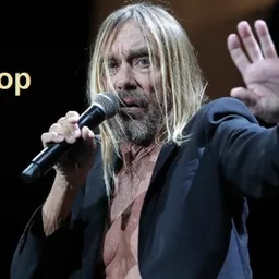 Radio Iggy Pop