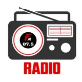 Narshingbari Radio