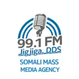 Jigjiga FM 99.1