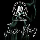 VOICE PLUG