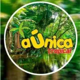 RADIO LA ÚNICA TROPICAL 107.9 FM