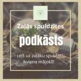 ''Zaļā Spuldzīte''