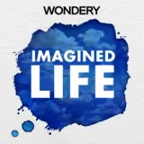 Imagined Life