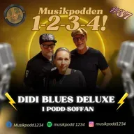 #37 - DiDi Blues Deluxe i podd-soffan