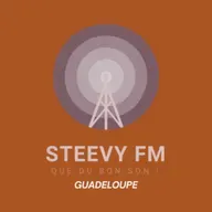 L'Horoscope - Steevy FM 2025-02-21 08:45