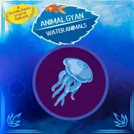 Jellyfish