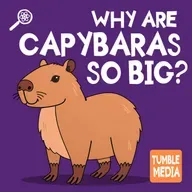 Why are Capybaras So Big?