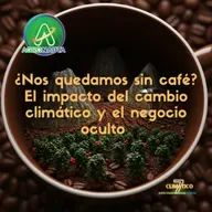 ¿Nos quedamos sin café? El impacto del cambio climático y el negocio oculto