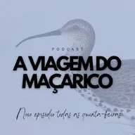 Ep. 128 | O projeto Sentinelas, com João Santos