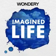 Introducing: Imagined Life