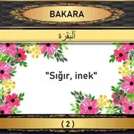 02. Bakara Suresi - Yaşar Nuri Öztürk Sesi ve Meali ile (2001)