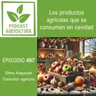 497 Los productos agrícolas que se consumen en navidad