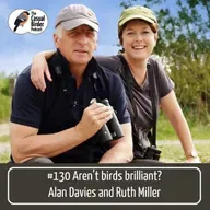 Aren't birds brilliant? Alan Davies and Ruth Miller