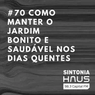 Saiba como manter o jardim bonito e saudável nos dias quentes | SINTONIA HAUS #70