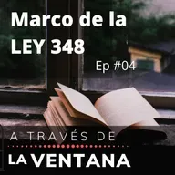 Marco de la Ley 348