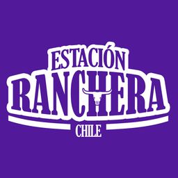 Website preview