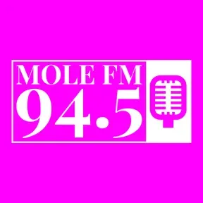 MOLEFM