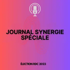 JOURNAL SYNERGIE SPÉCIAL 