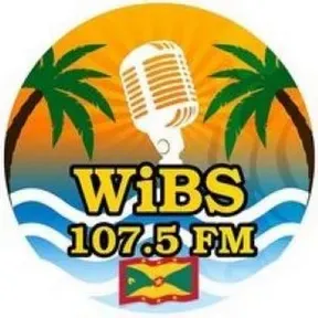 WIBS107