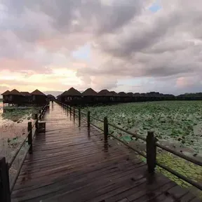 Arker Myint Mo Channel