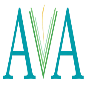 AVA ORGANIZACIÓN