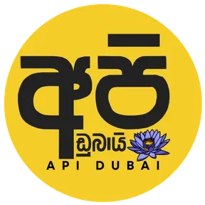 Api Dubai