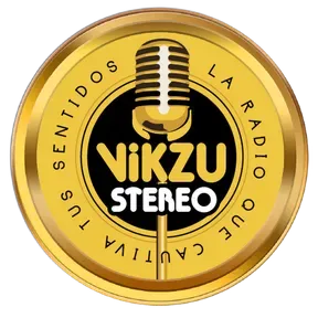 VIKZU STEREO