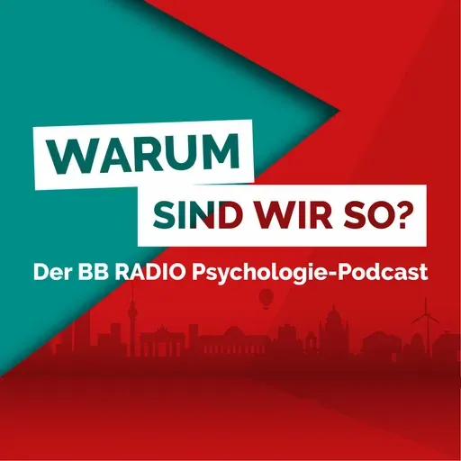 Psychologie-Themen der Woche - Sicherheitskontrollen,Entschuldigungen, Gähnen, Horrofilme, Nachtragend sein