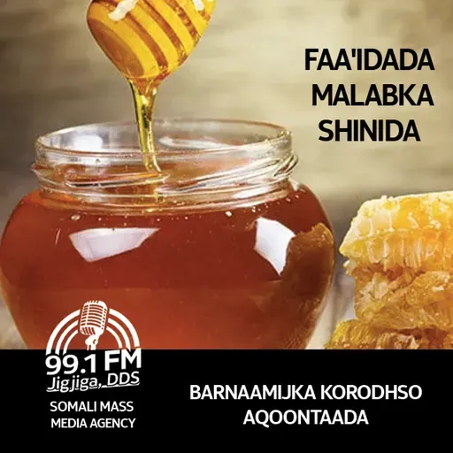 Faa'idada Malabka shinida 