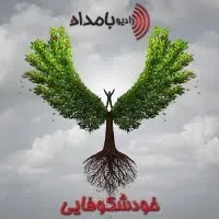 بایپولار یا دوقطبی - بخش اول