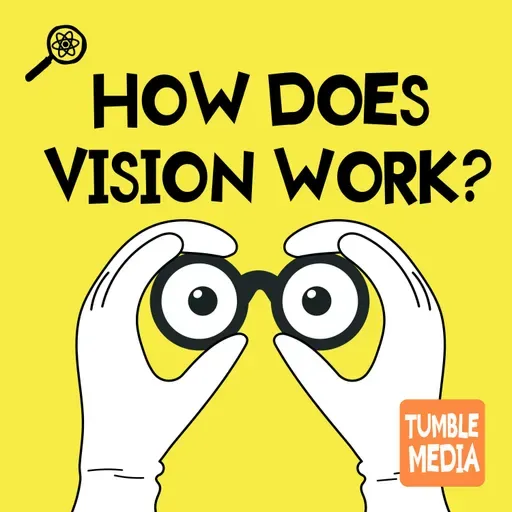 How Does Vision Work?