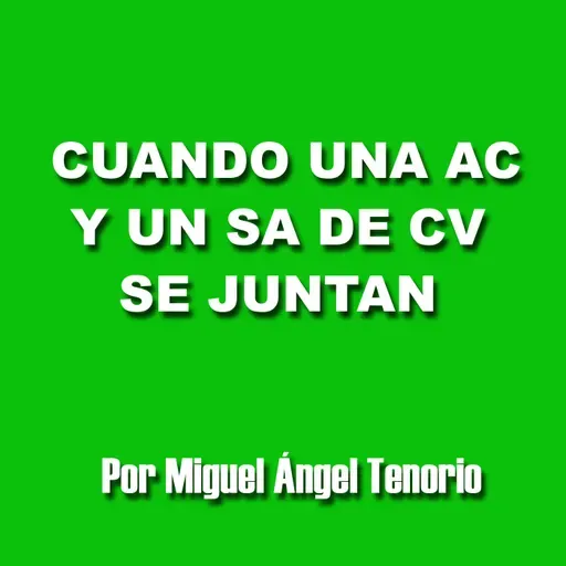 E07 - CUANDO UNA AC Y UN SA DE CV SE JUNTAN