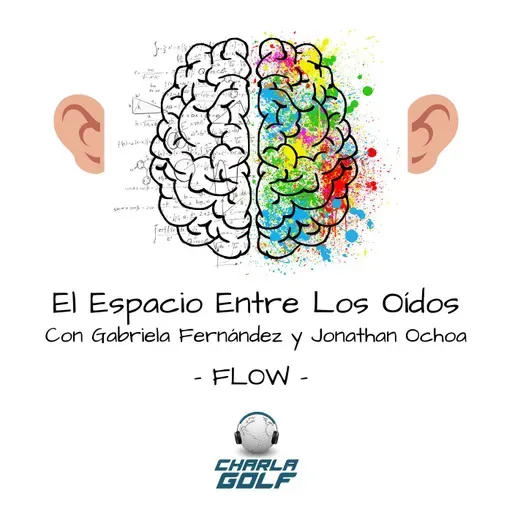 El Espacio Entre Los Oídos - Flow