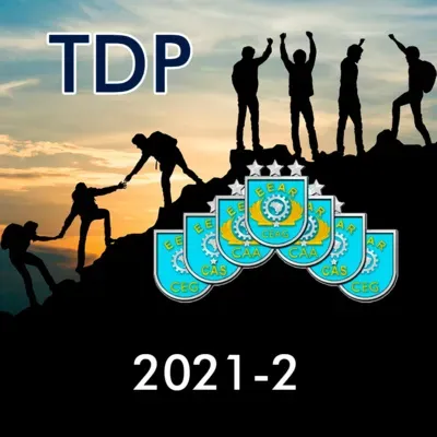 TDP (Leitura Completa - CEAG 2021-2) - Treinamento e Desenvolvimento de Pessoal