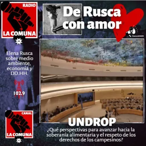 UNDROP: ¿Qué perspectivas para avanzar hacia la soberanía alimentaria y el respeto de los derechos de los campesinos? 