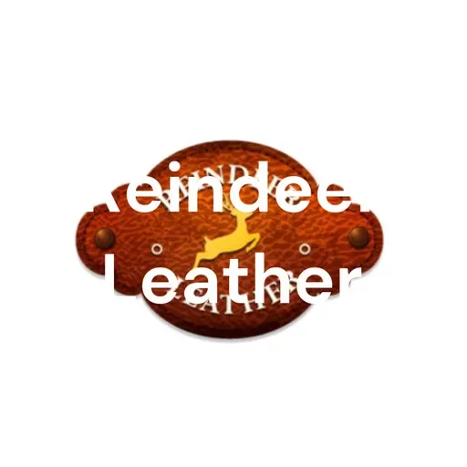 Men Leather Clogs