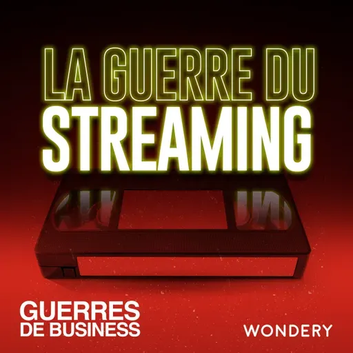 La guerre du streaming | Binge watching | 6